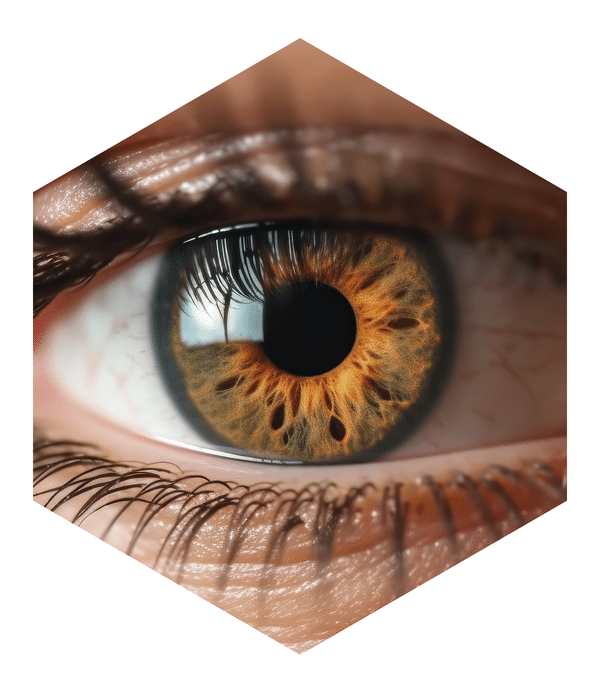 Eye
