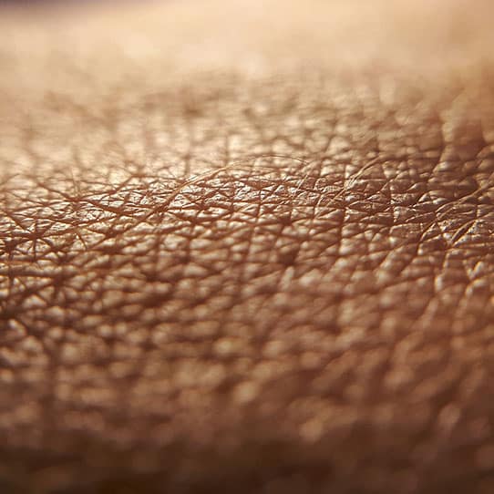 Skin closeup